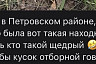 Саратовские грибники нашли в лесу отборную говядину и вино