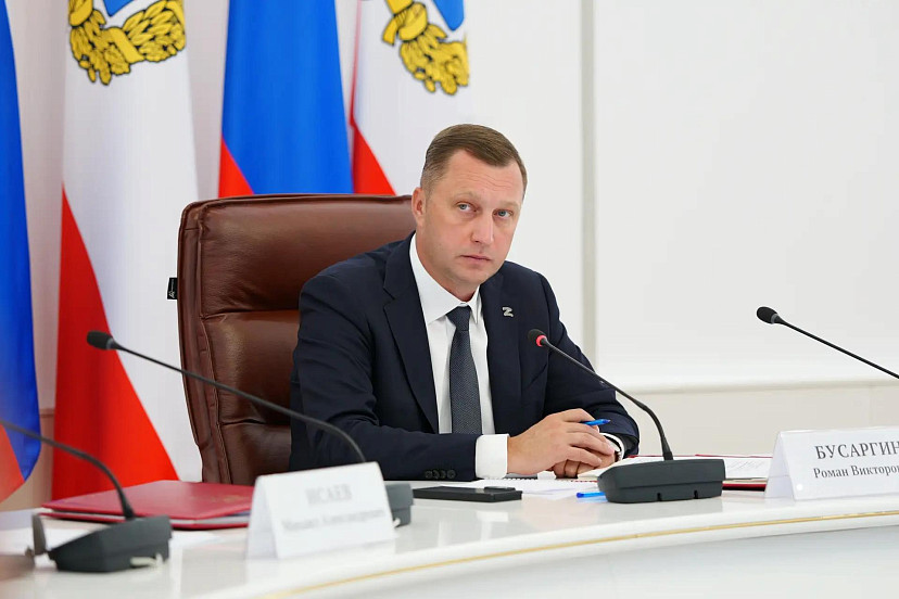 Саратовский губернатор поручил усилить контроль за бездомными животными 